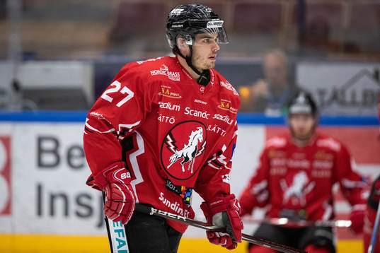 Vita Hästens Arvid Degerstedt