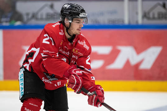 Vita Hästens Arvid Degerstedt