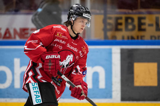 Vita Hästens Jens Hellgren