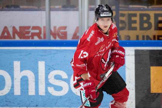 Vita Hästens Gustav Ahnelöv