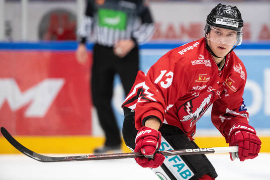 Vita Hästens Gustav Ahnelöv