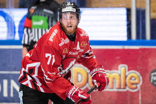 Vita Hästens Christopher Fish