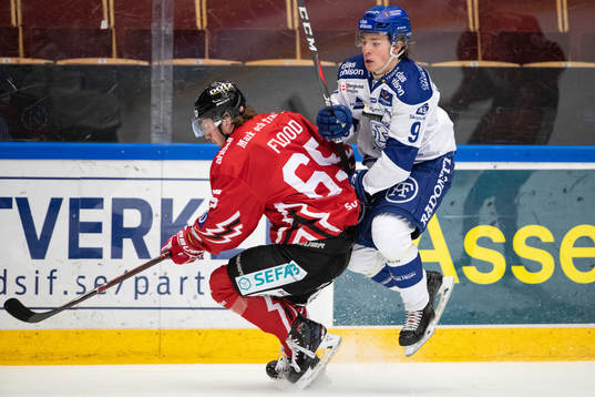 Vita Hästens Erik Flood och Leksands Marcus Karlberg