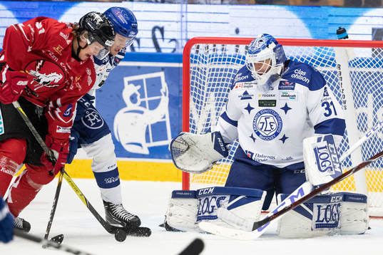 Vita Hästens Erik Borg och Leksands Filip Johansson