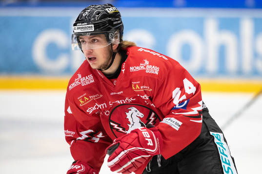 Vita Hästens Axel Levander