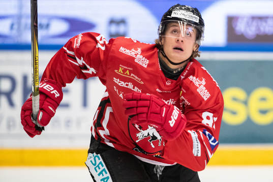 Vita Hästens Erik Borg