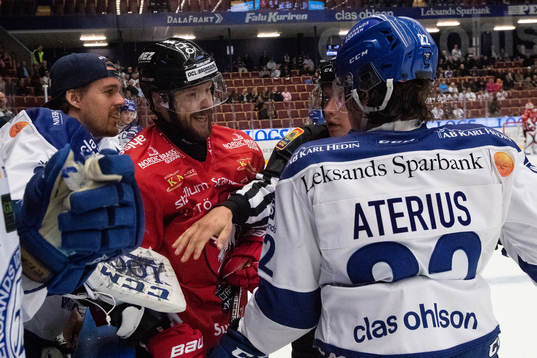 Vita Hästens Erik Flood och Leksands Erik Aterius