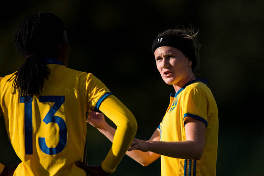 Sveriges Linn Vickius