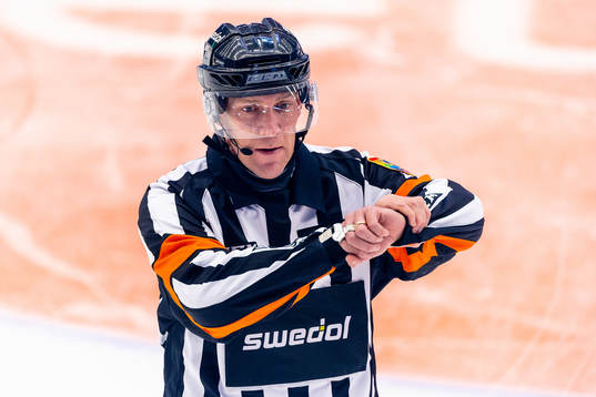 Domare Morgan Johansson