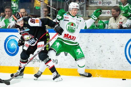 Malmö Redhawks Kim Rosdahl och Rögles Jesper Williamsson
