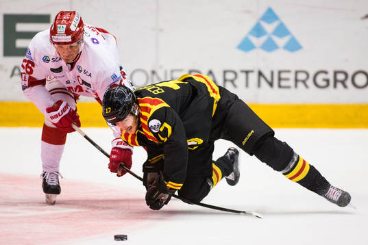 Timrås Hampus Larsson och Brynäs Alexander Bjurström