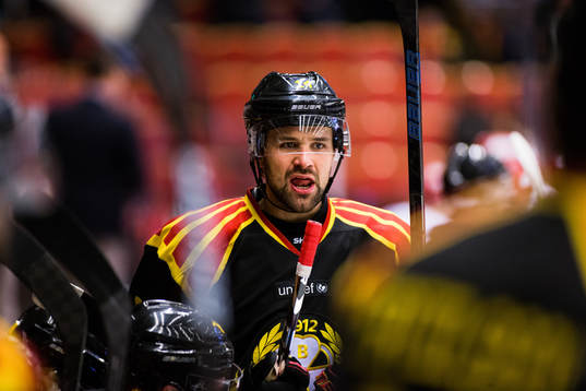 Brynäs Johan Alcén