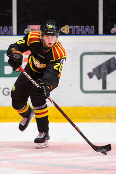 Brynäs Marcus Westfält