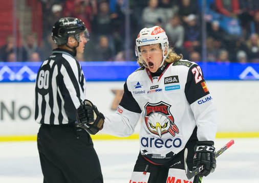 Malmö Redhawks Marcus Sylvegård jublar