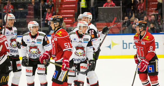 Malmö Redhawks spelare jublar