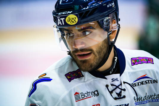 Linköpings Almen Bibic