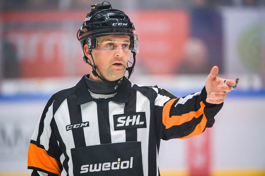 Domare Mikael Nord