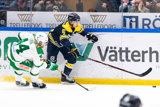 s Martin Fehérváry och Rögles Olle Liss