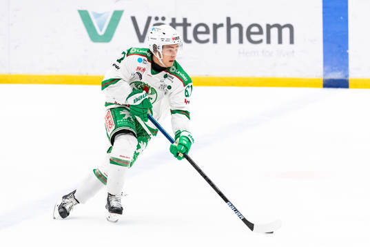 Rögles Leon Bristedt