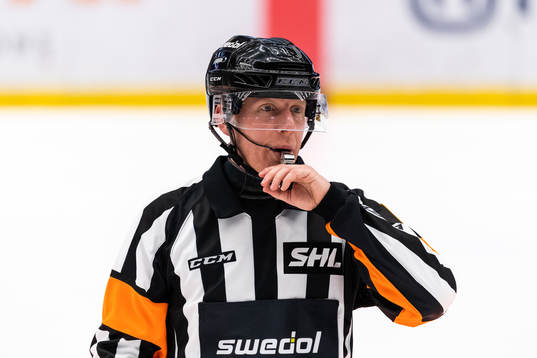 Domare med visselpipa