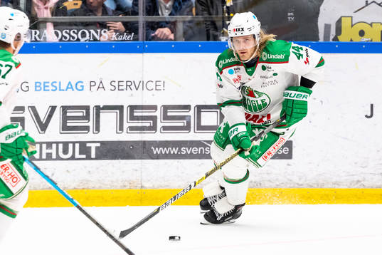 Rögles Olle Liss