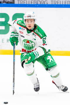 Rögles Leon Bristedt