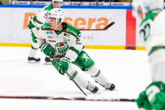 Rögles Leon Bristedt