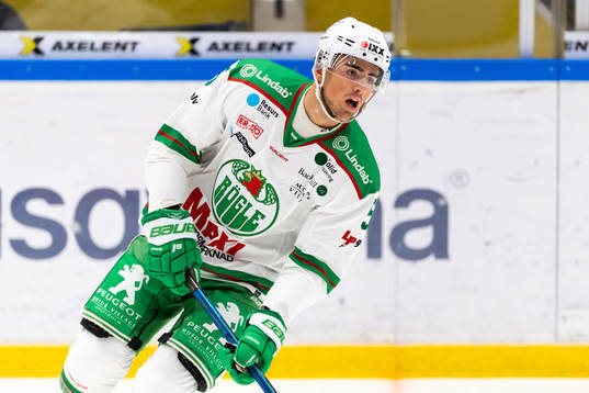 Rögles Alen Bibic
