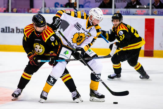 Skellefteås Adam Pettersson oc Brynäs Johan Alcén
