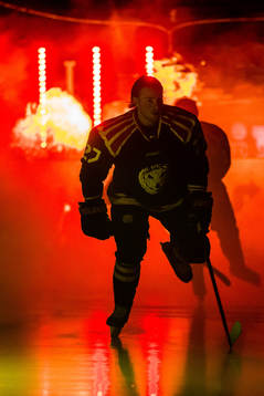 Brynäs Emil Forslund