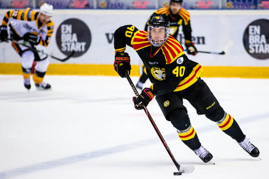 Brynäs Jesper Jensen