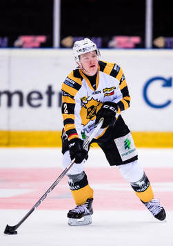 Skellefteås Ludvig Stenvall