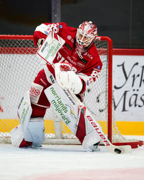 Timrås målvakt Niklas Svedberg