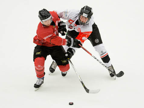 Ryan Lasch of Frölunda and Jonathan Brinkman of Aalborg