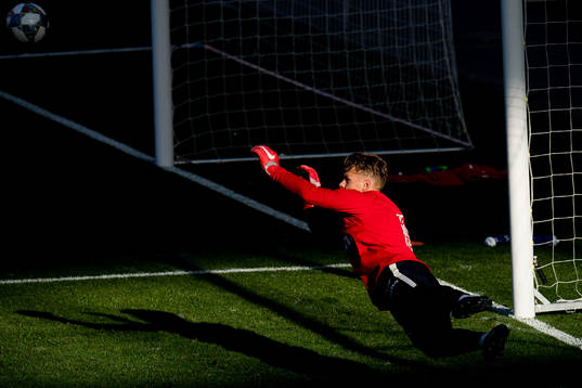 Goalkeeper Ørjan Håskjold Nyland of Norway