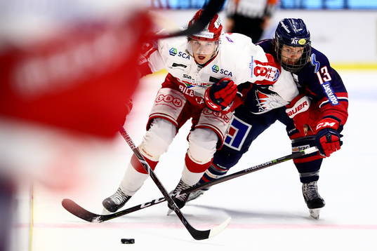 Timrås Filip Hållander och Linköpings Andrew Gordon