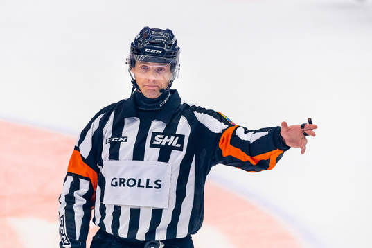 Domare Mikael Andersson