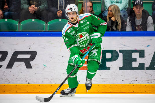 Rögles Daniel Zaar