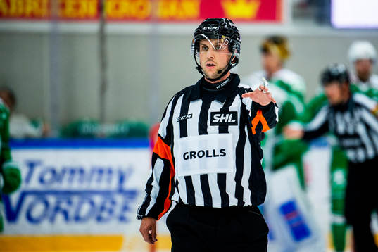Domare Patric Bjälkander