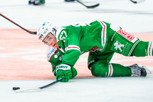 Rögles Leon Bristedt
