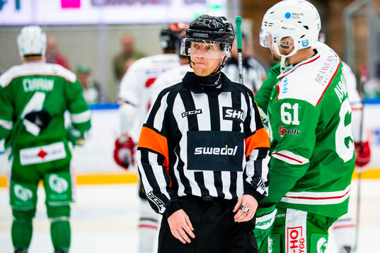 Domare Mikael Holm