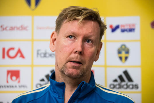 Sveriges assisterande förbundskapten Peter Wettergren