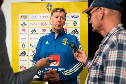 Sveriges assisterande förbundskapten Peter Wettergren