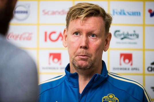 Sveriges assisterande förbundskapten Peter Wettergren