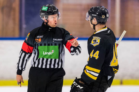 Domare Filip Sandstedt tillrättavisar Panterns Erik