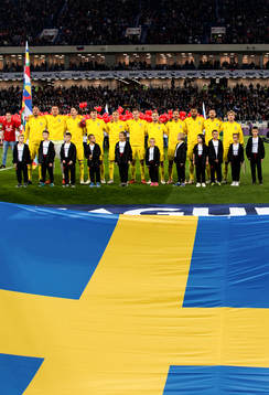 The players of Sweden