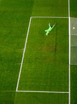 Goalkeeper Vid Belec of Slovenia lets in 1-0