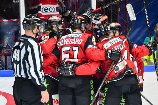 Malmö Redhawks spelare jublar