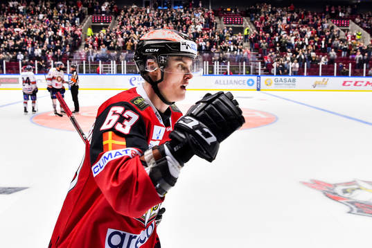 Malmö Redhawks Fredrik Händemark jublar