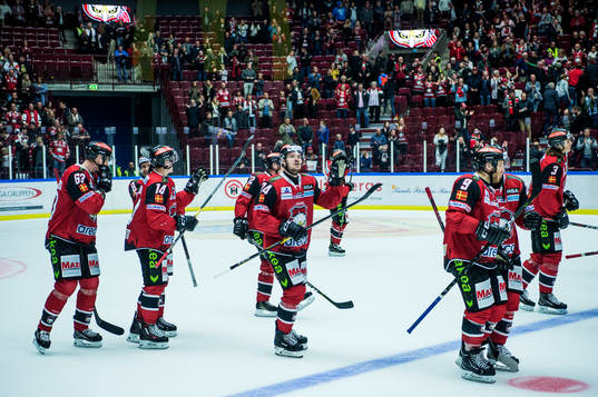 Malmö Redhawks spelare jublar